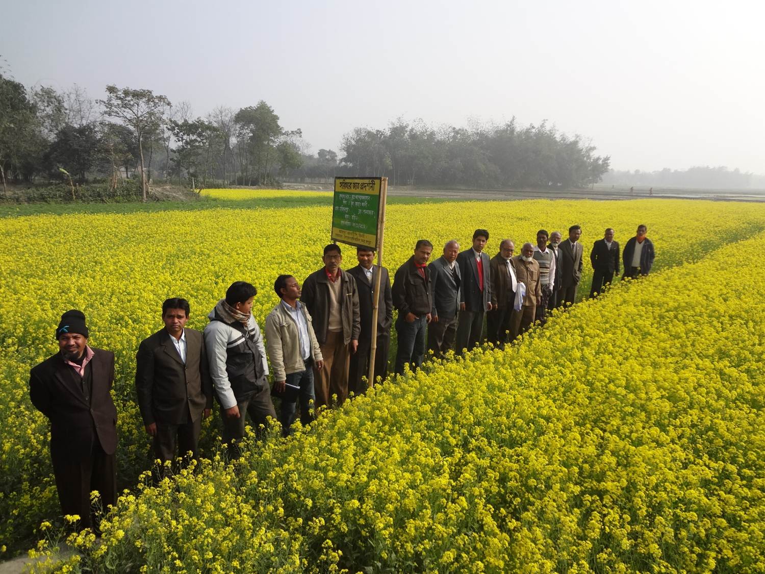 যৌথ মাঠ পরিদর্শন করছেন জেলা সম্প্রসারণ কমিটির সদস্য বৃন্দ