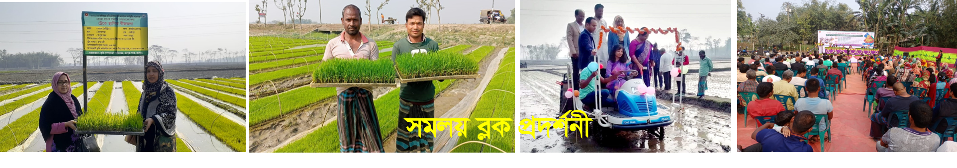 সমলয়
