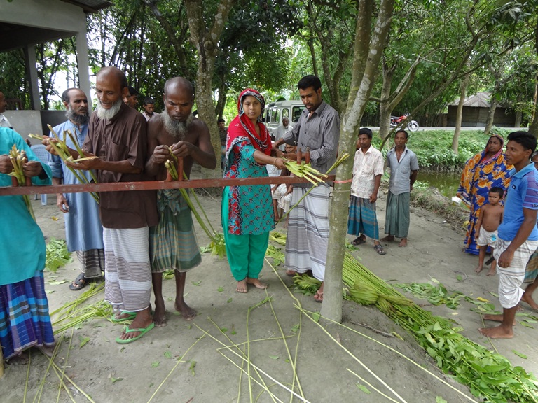 রিবন রেটিং পদ্ধতিতে পাট আঁশ ছড়ানো