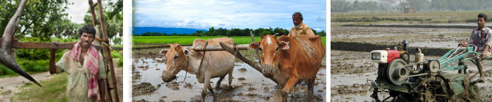 কৃষির বিবর্তন