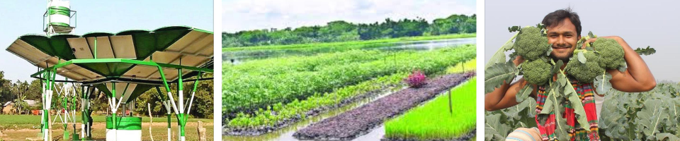 কৃষির বিবর্তন3