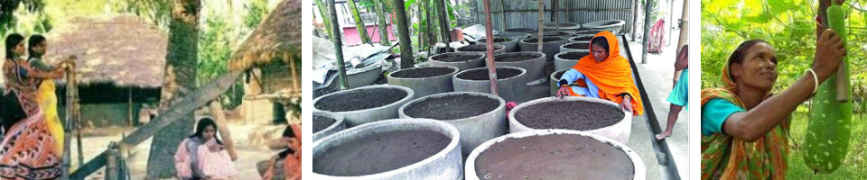 কৃষির বিবর্তন-2