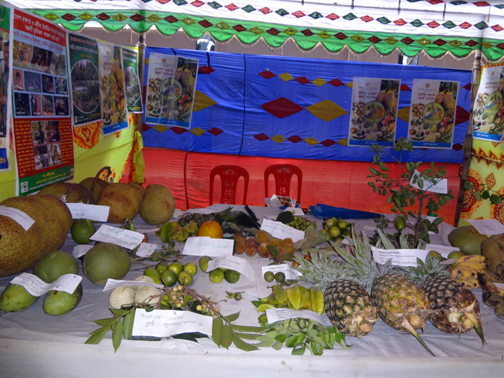 ই-সেবা কেন্দ্র, জেলা প্রশাসন