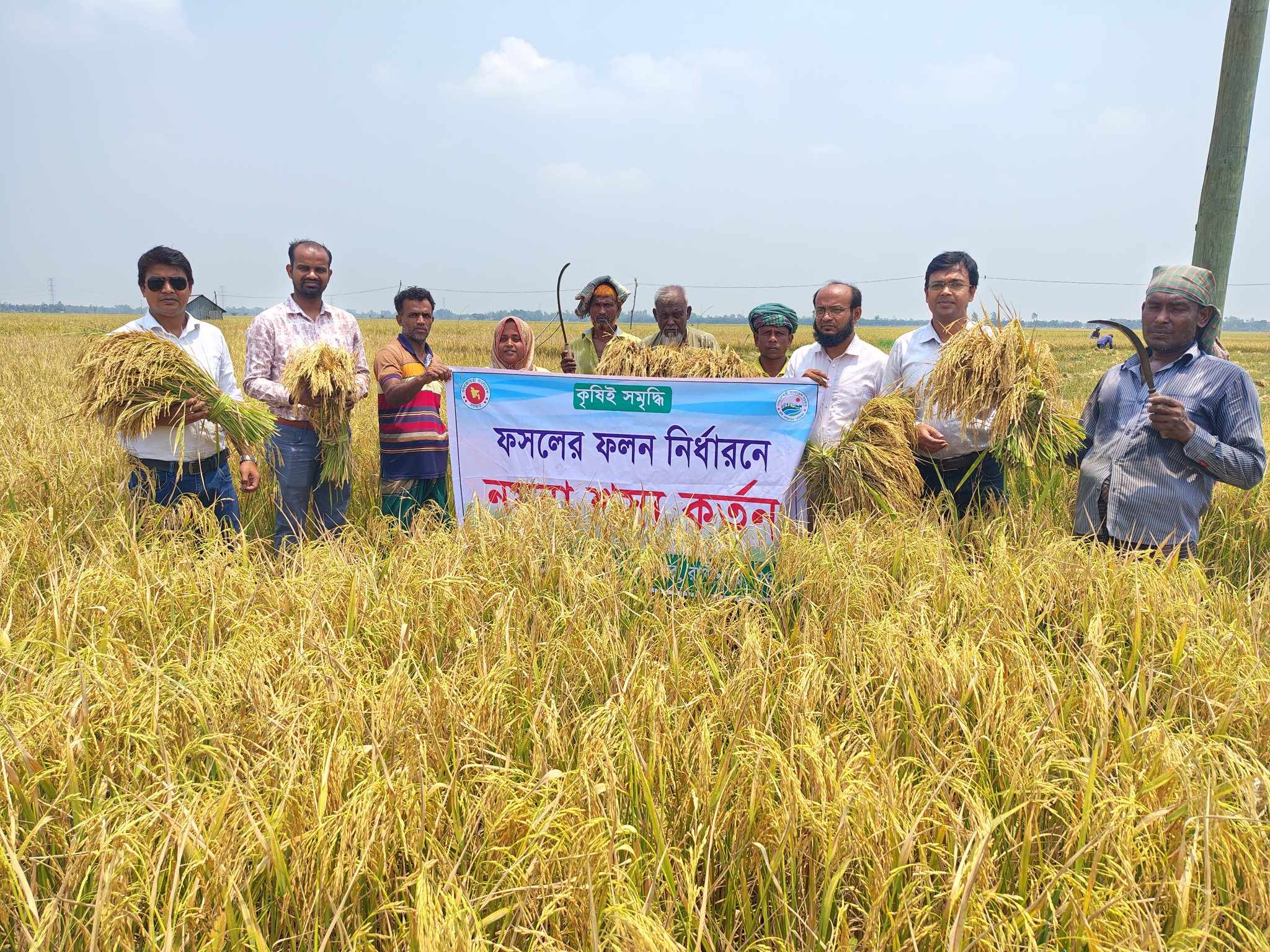 ফসলের নমুনা শস্য কর্তন