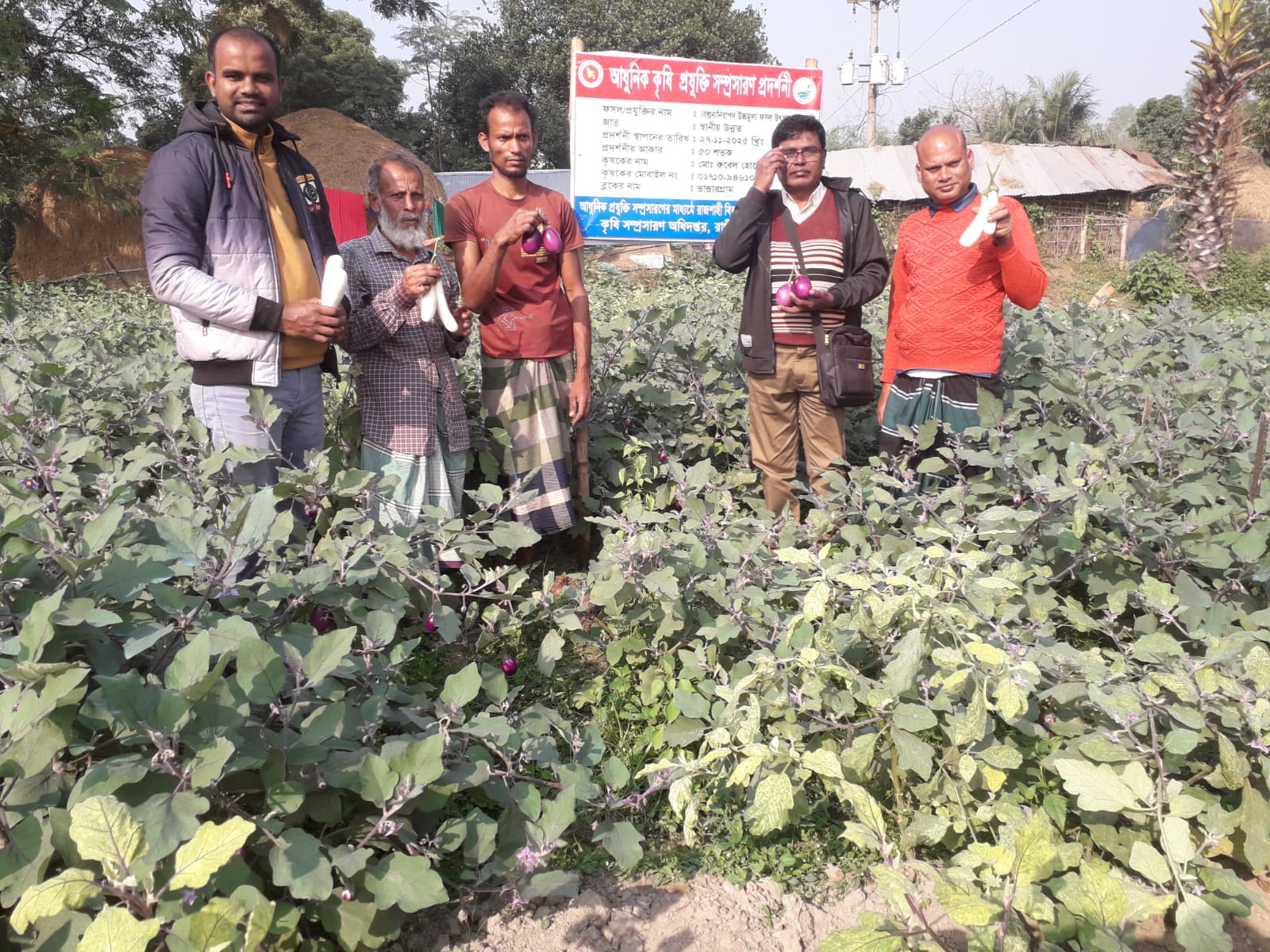 উচ্চমূল্যের ফসল উৎপাদন