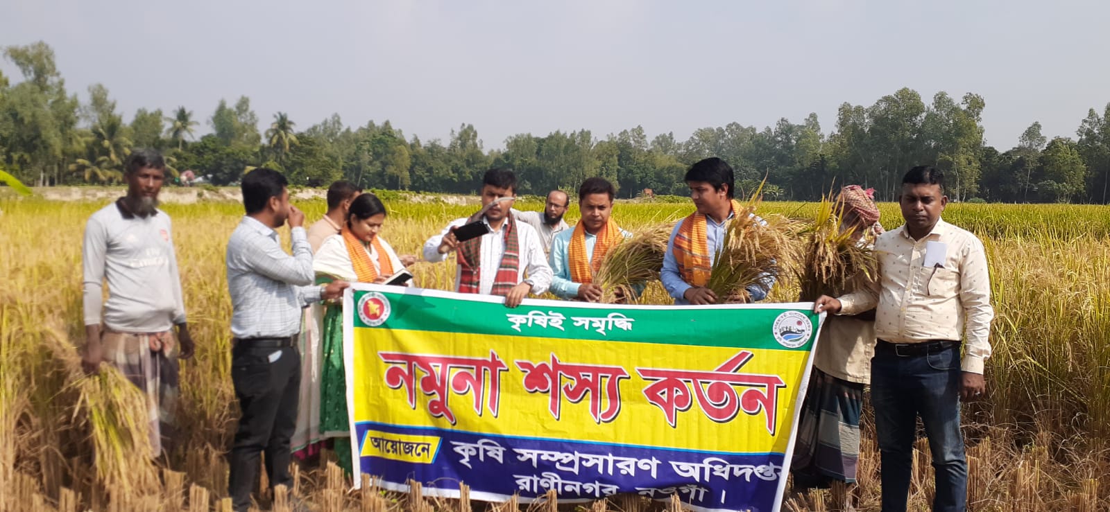 নমুনা শস্য