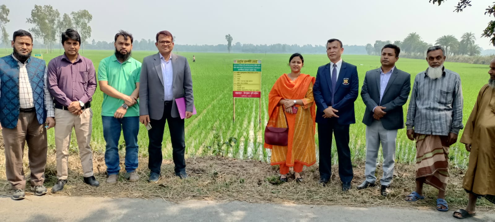 বোরো সমলয়