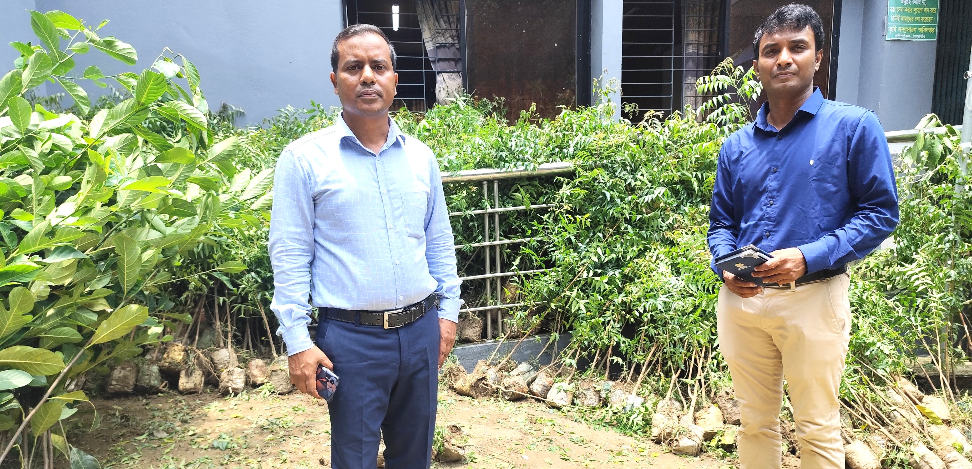 চারা বিতরণ