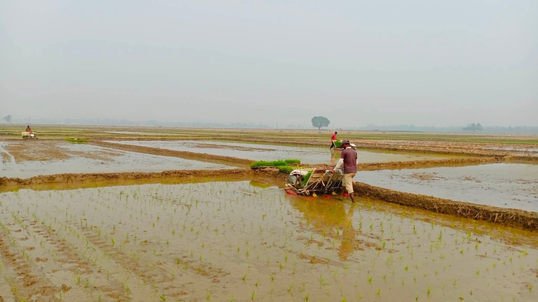 স. ক ৫