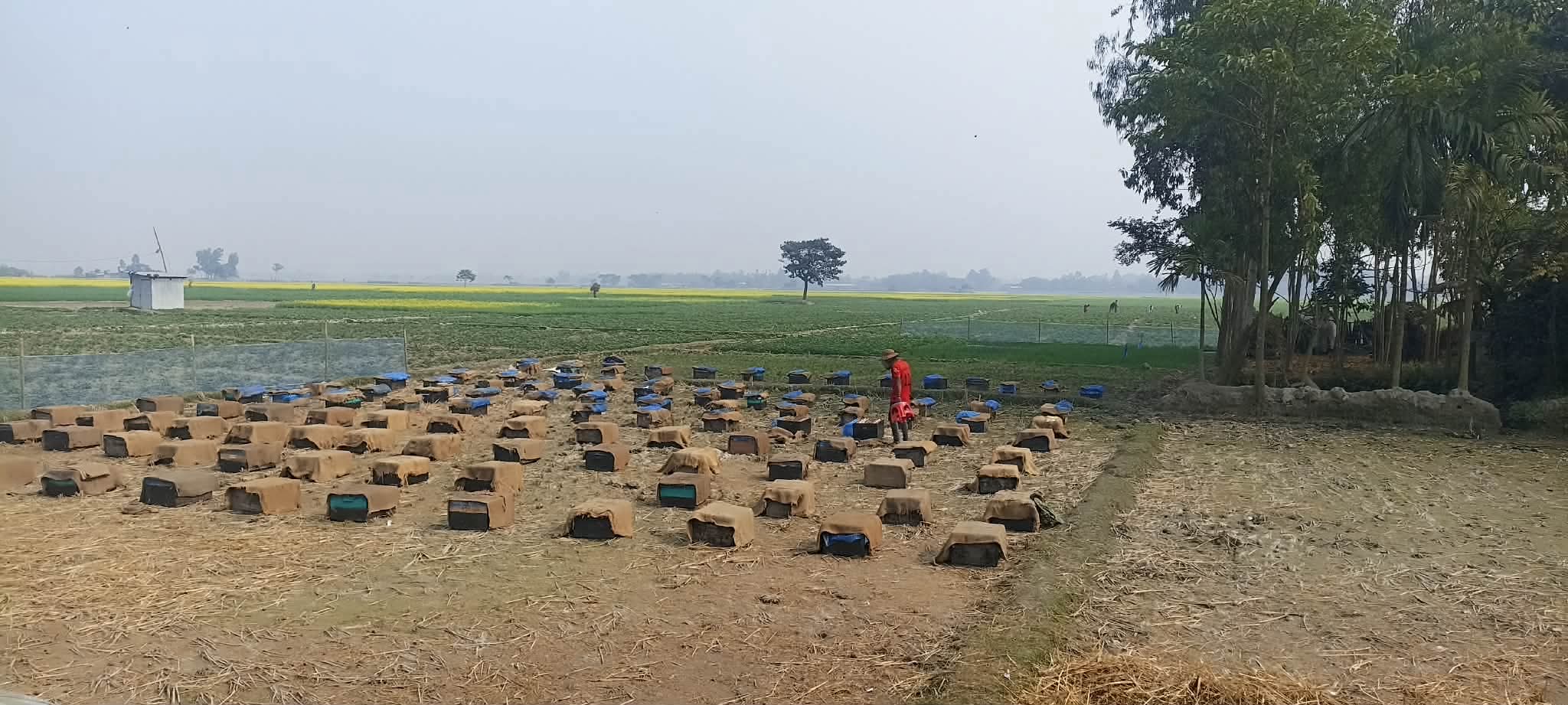 স. ক. ৭