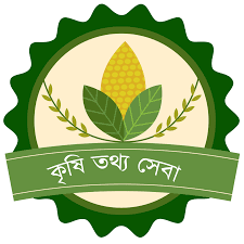 সেবাসমূহ