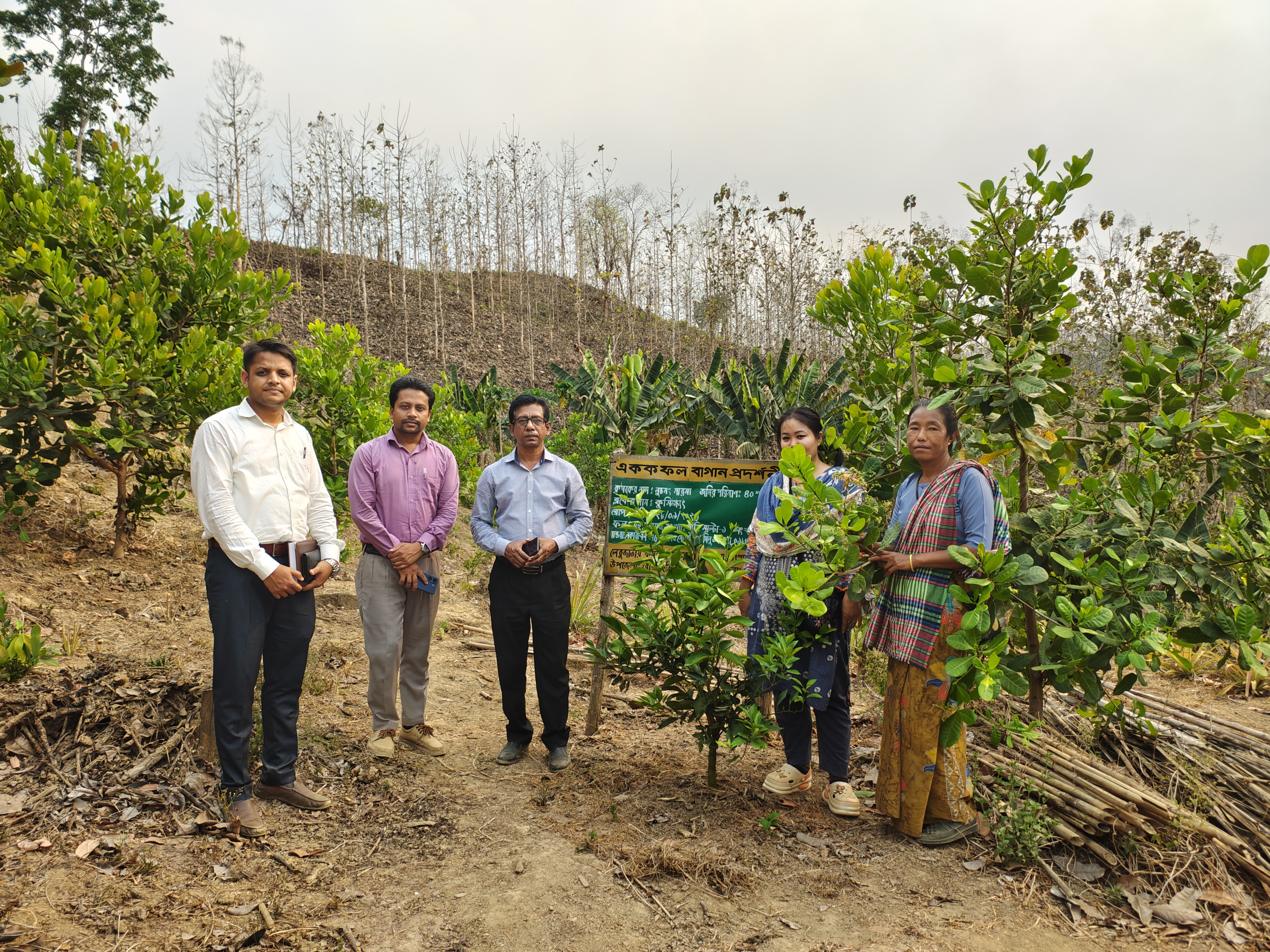 কাজু বাদাম বাগান প্রর্দশনী