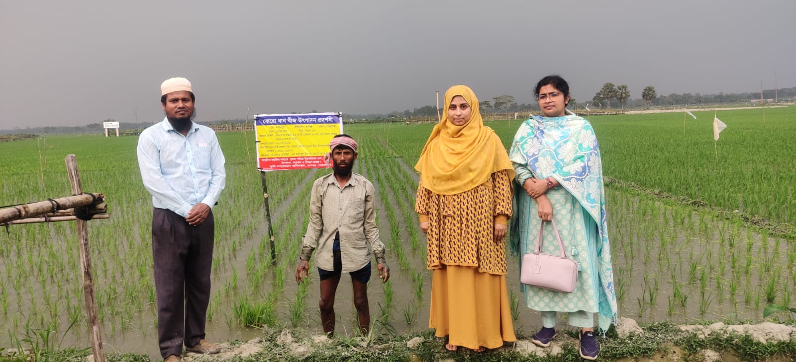 স্থাপিত প্রর্দশনী