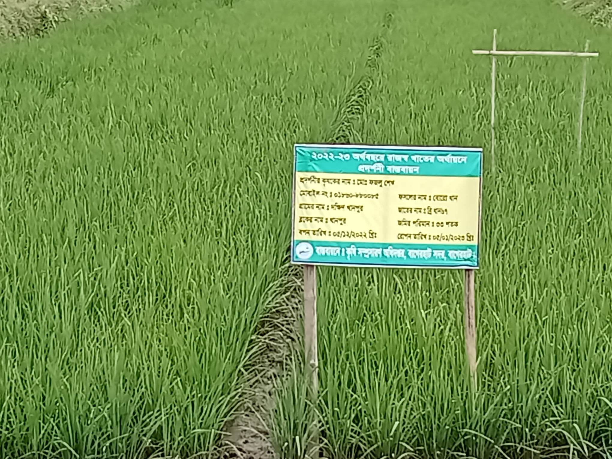 Service Process Simplification