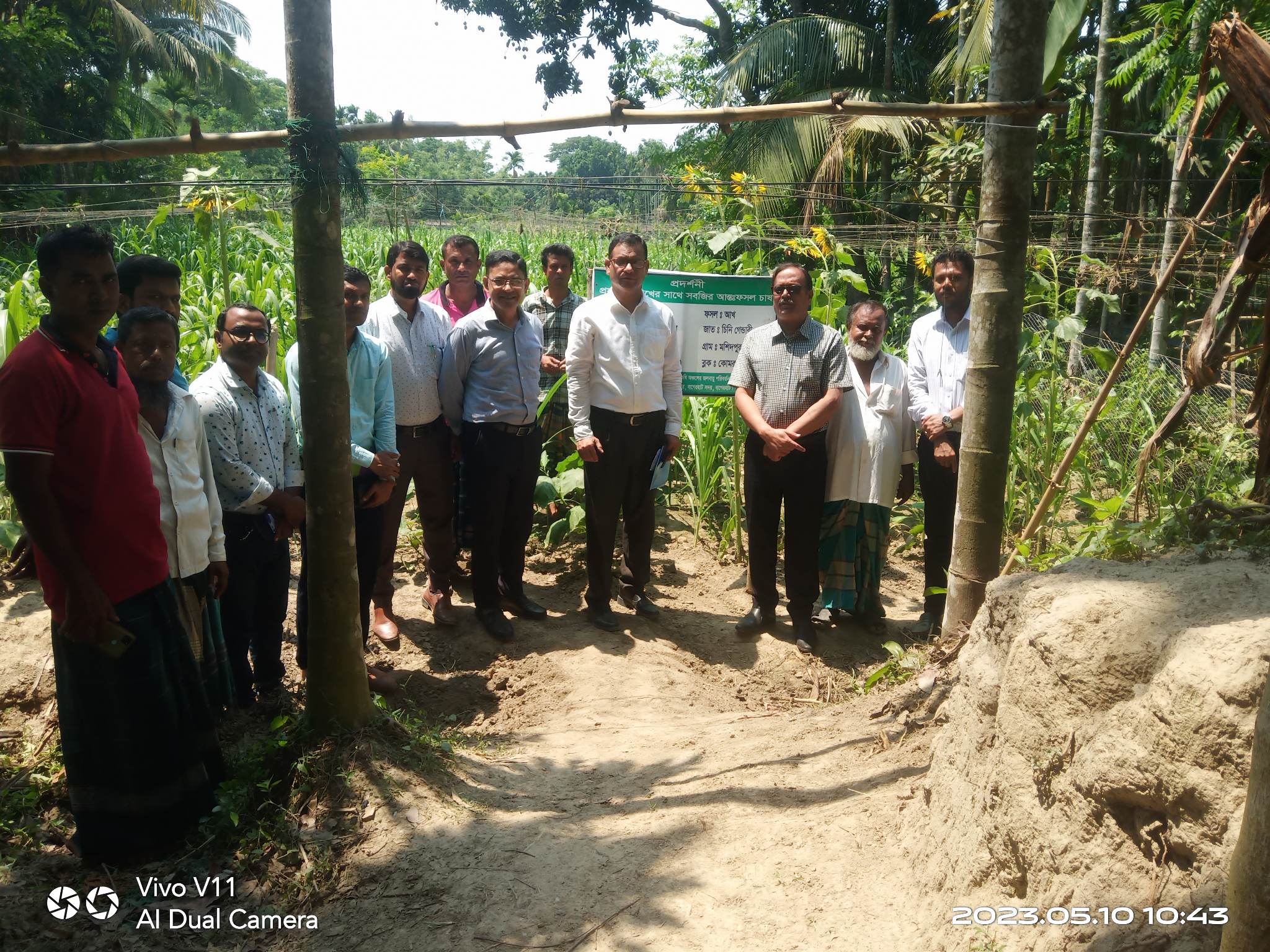 Service Process Simplification