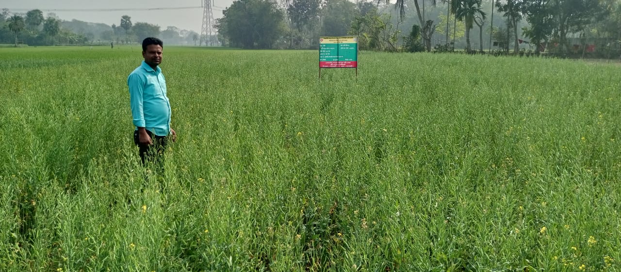 Service Process Simplification