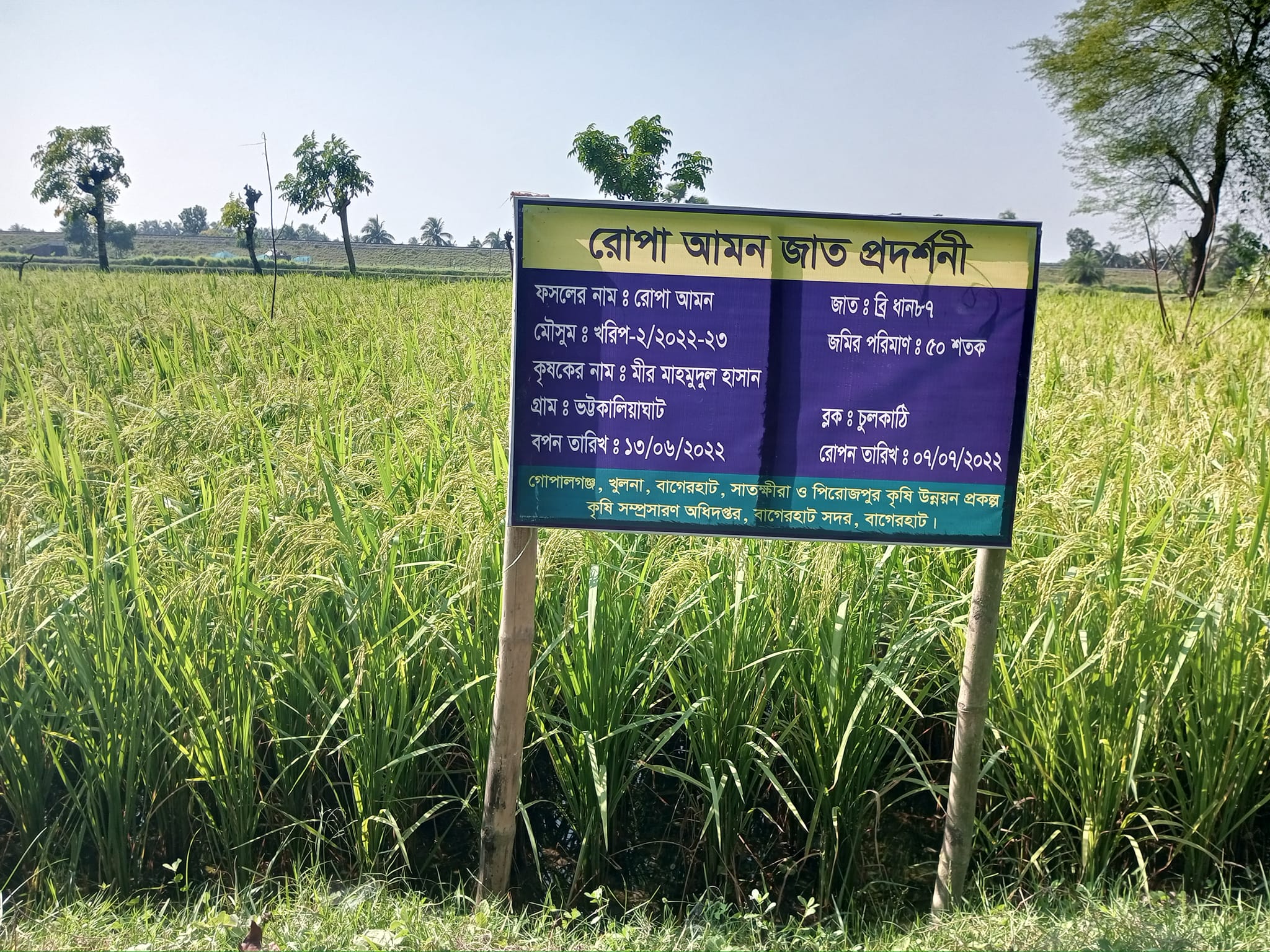 Service Process Simplification