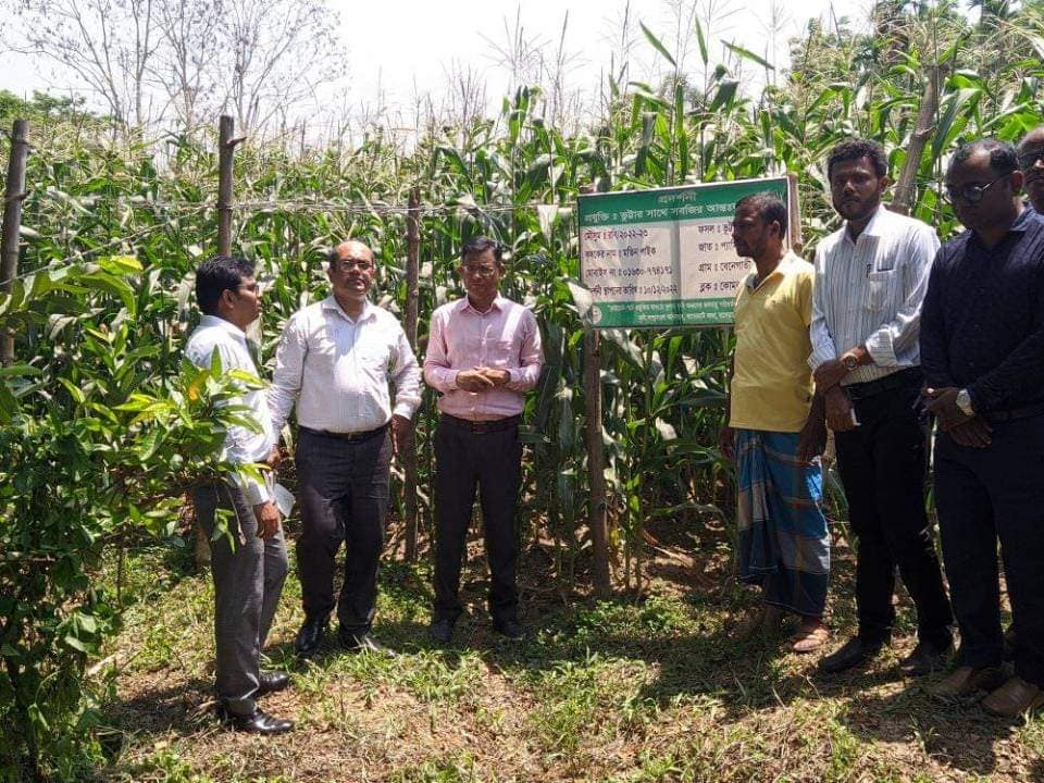 Service Process Simplification