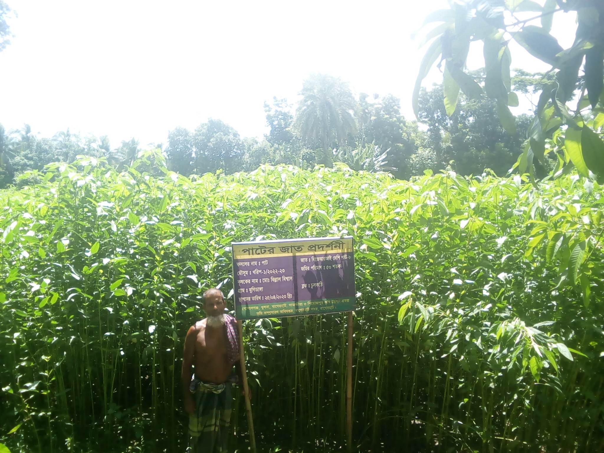 Service Process Simplification