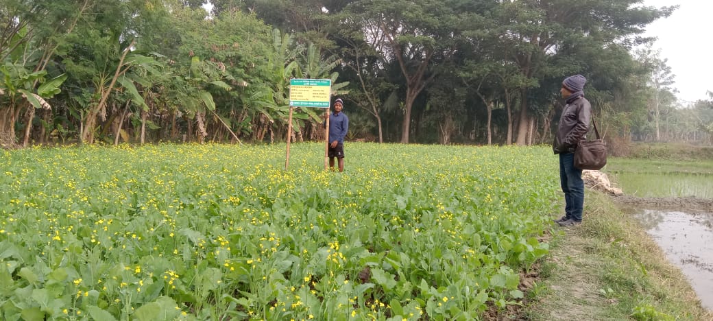 Service Process Simplification