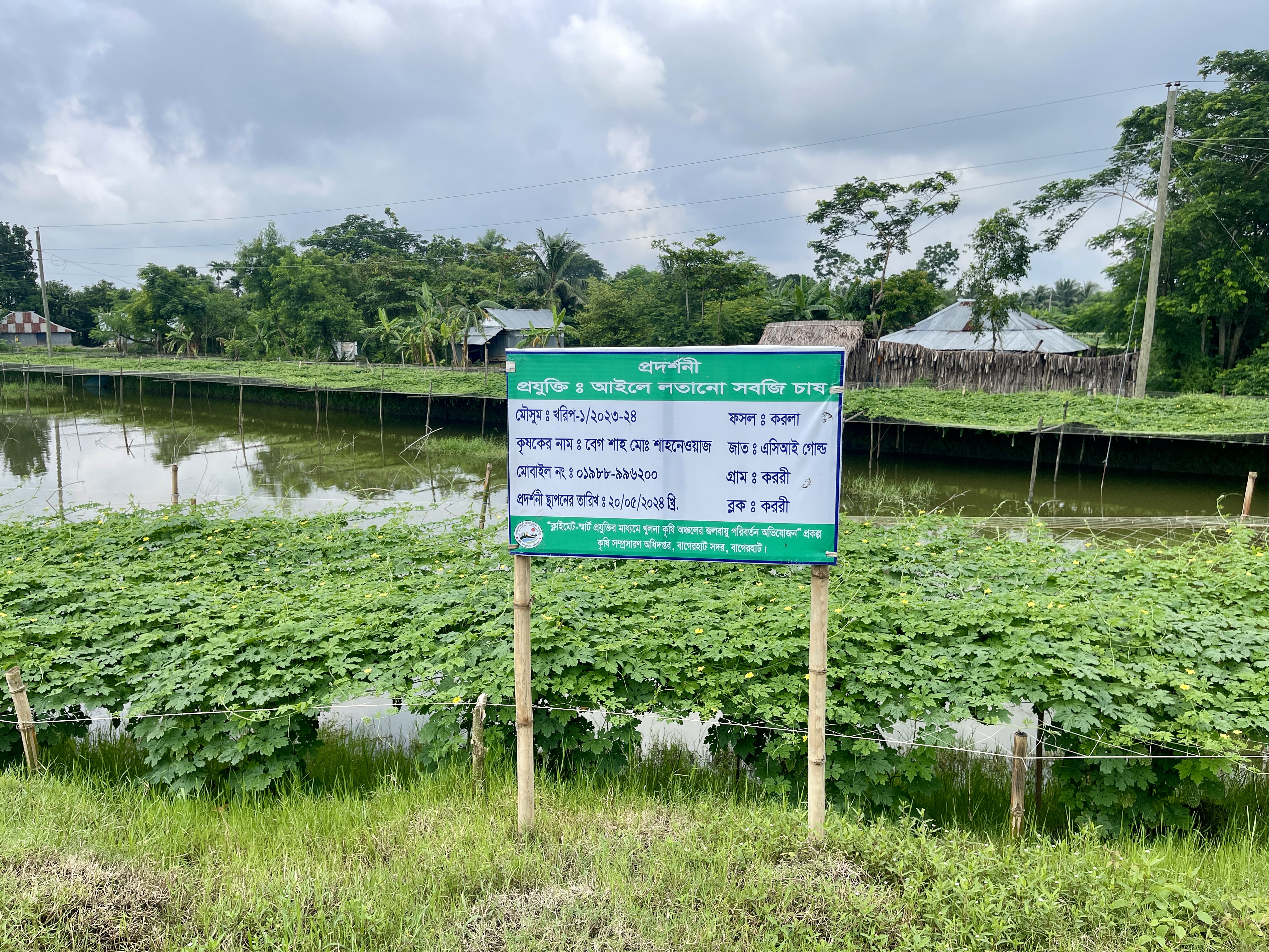 প্রদর্শনীর ছবি