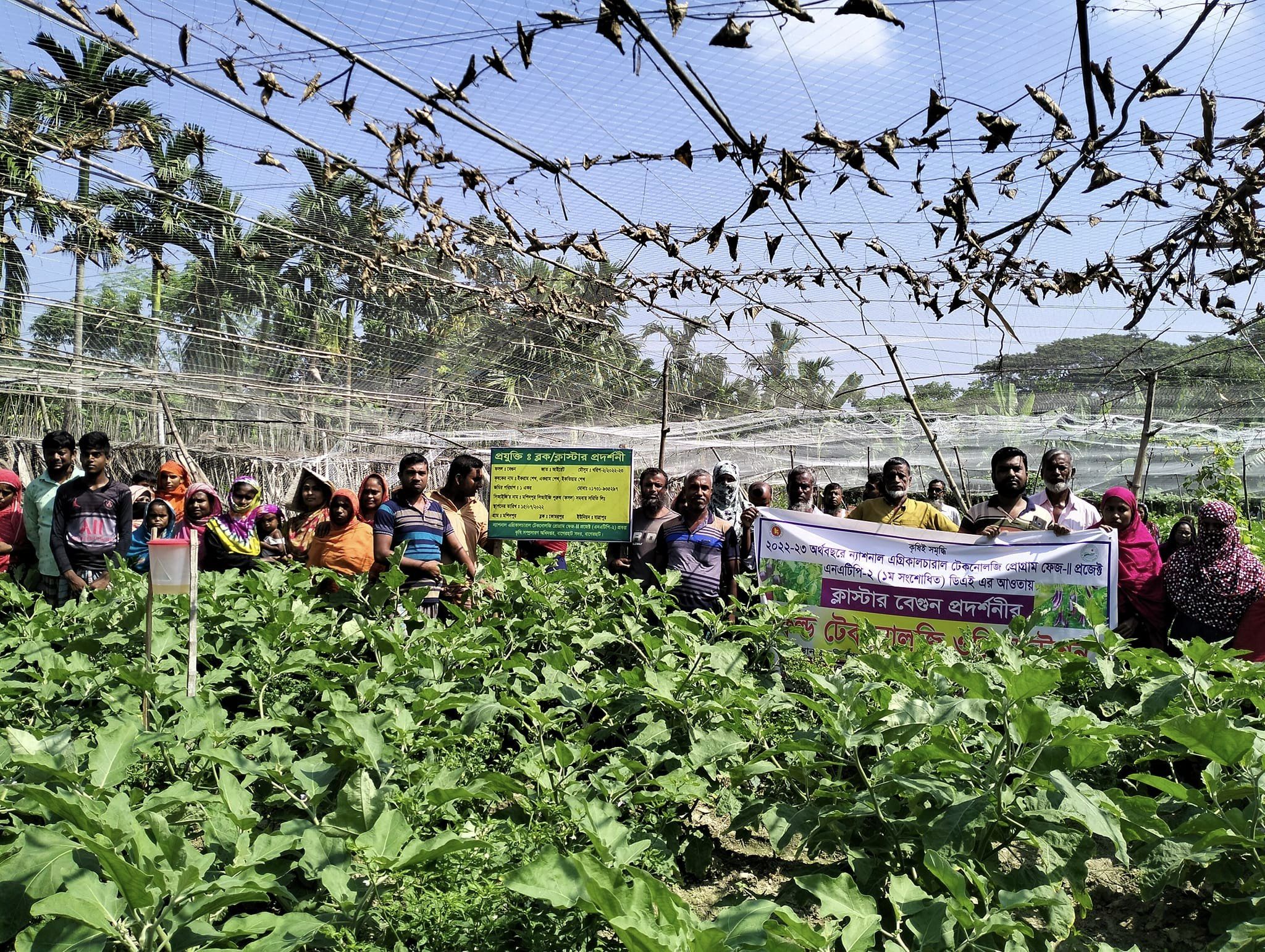 Service Process Simplification