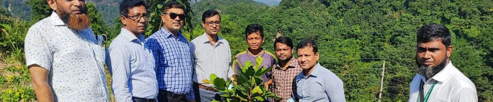 কফি ও কাজুবাদাম গবেষণা, উন্নয়ন ও সম্প্রসারণ প্রকল্প