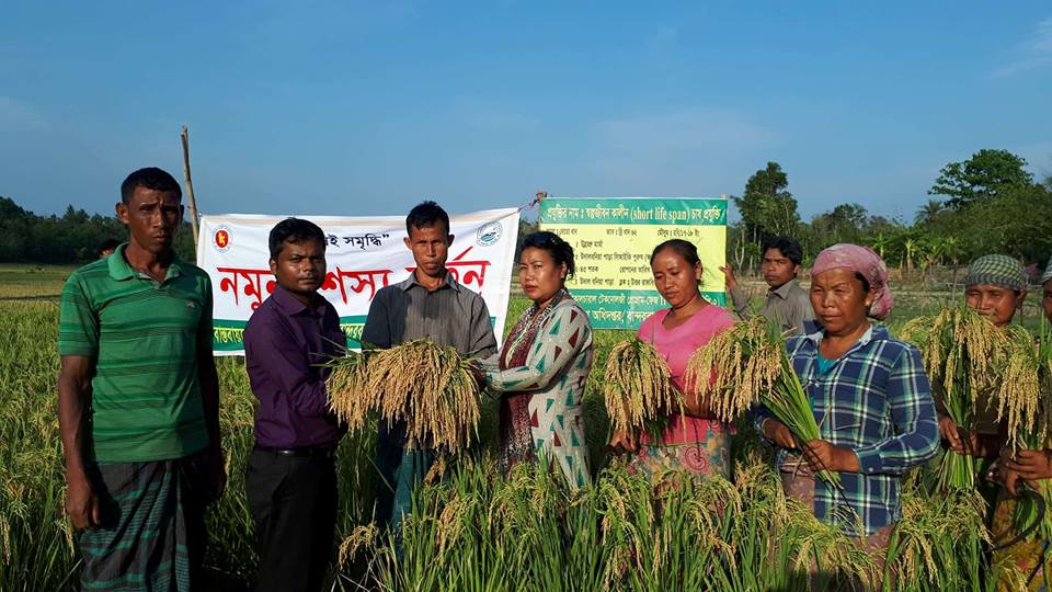 এনএটিপি প্রকল্পের বিভিন্ন কার্যক্রমের ছবি