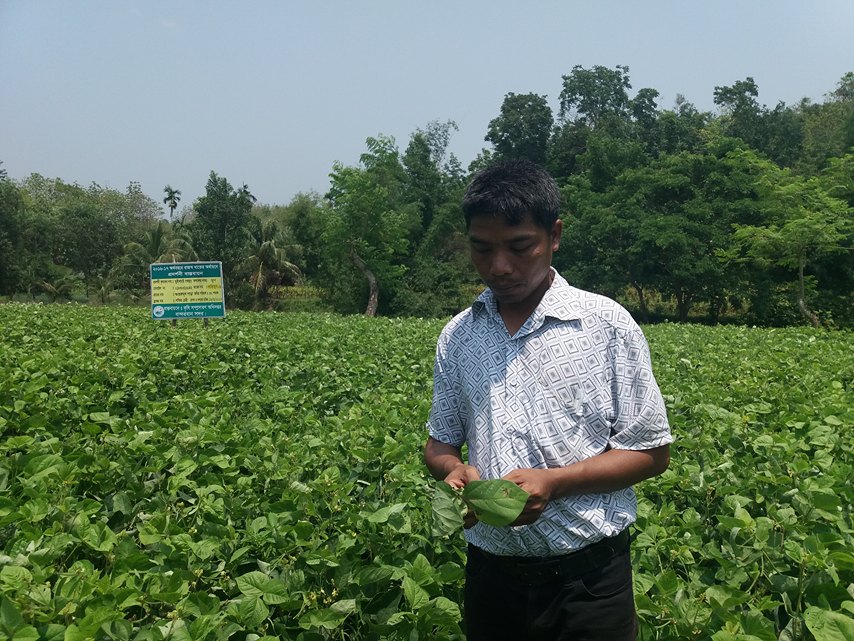 ই-সেবা কেন্দ্র, জেলা প্রশাসন