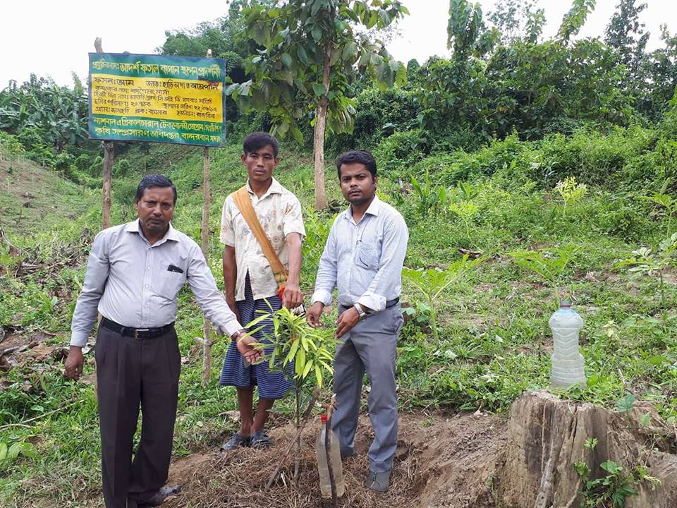 এনএটিপি প্রকল্পের বিভিন্ন কার্যক্রমের ছবি