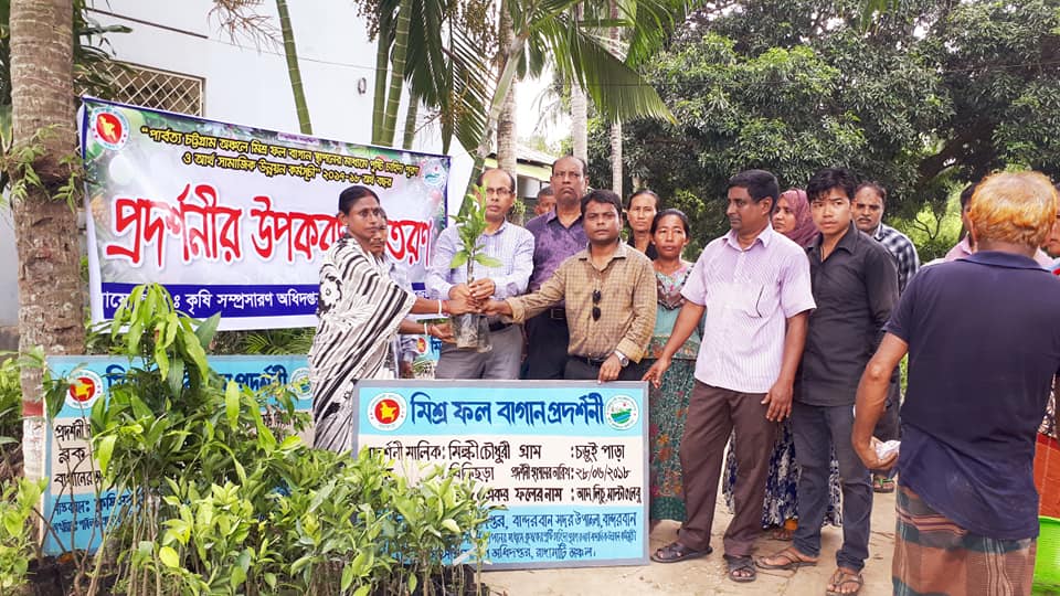 “পার্বত্য চট্টগ্রাম অঞ্চলে মিশ্র ফল বাগান স্থাপনের মাধ্যমে পুষ্টি চাহিদা পূরণ ও আর্থ সামাজিক উন্নয়ন কর্মসূচী” এর আওতায় মিশ্র ফল বাগানে ছবি