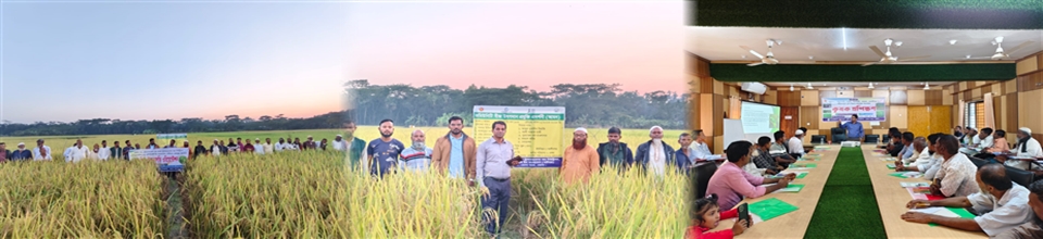 প্রদর্শনী পরিদর্শন