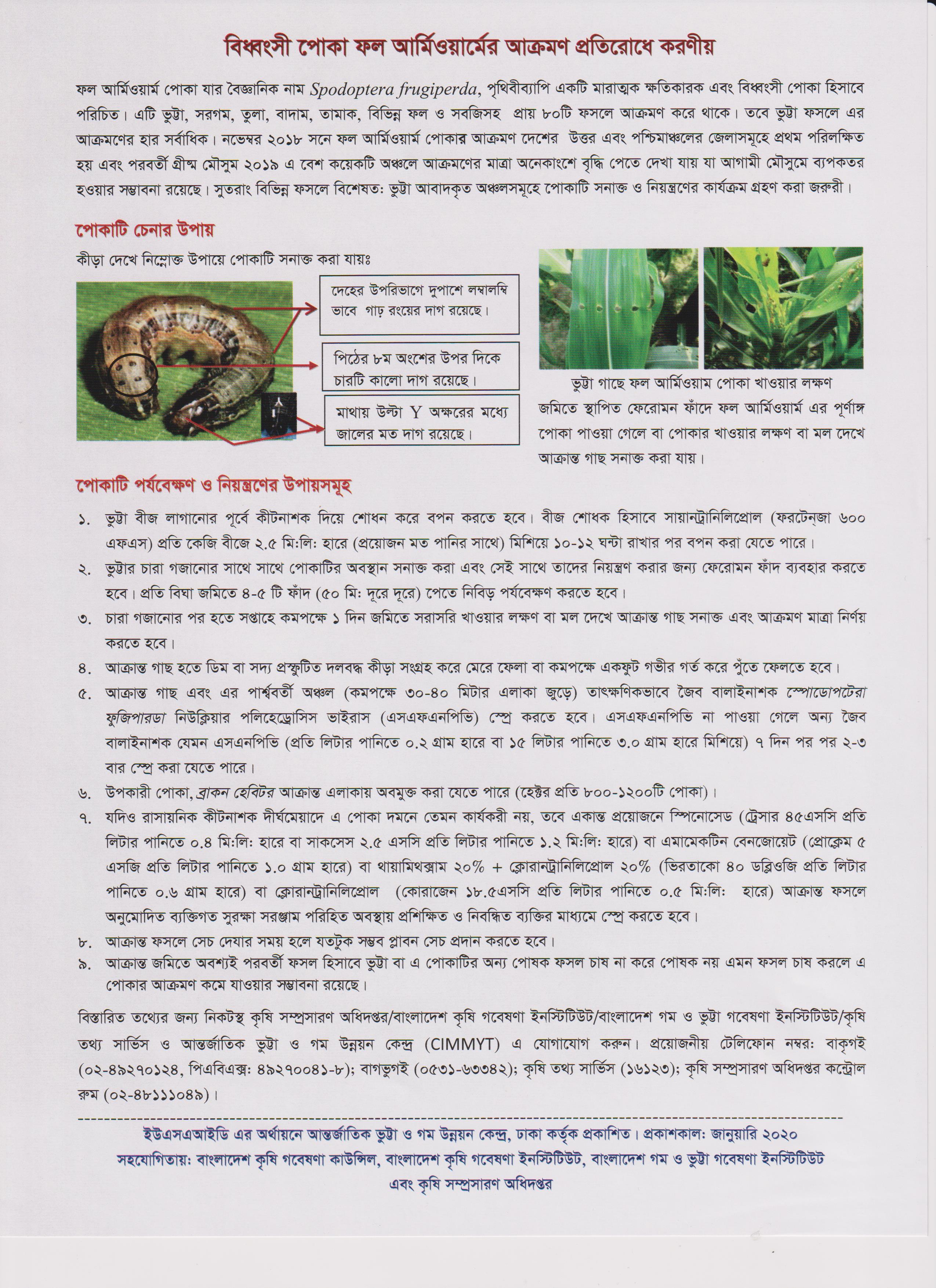 বিধ্বংসী পোকা ফল আর্মিওয়ার্মের আক্রমণ প্রতিরোধে করণীয়