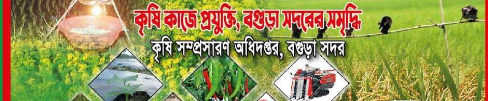 ব্যানার