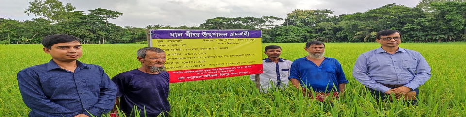 প্রদর্শনী