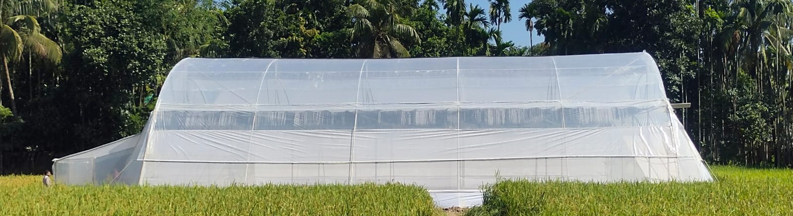 পলিনেট হাউজ