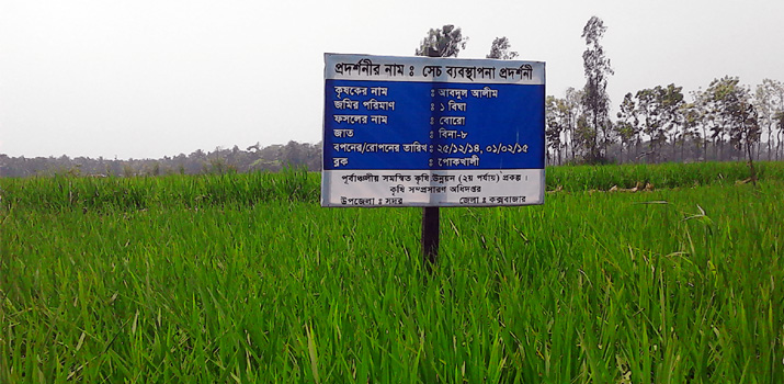 প্রদর্শনীর ছবি