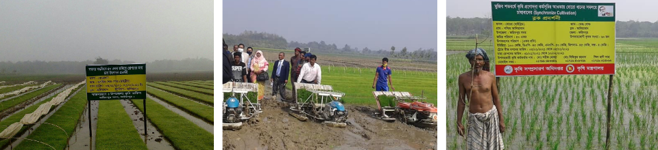 সমলয় এর মাধ্যমে ৫০ একর জমি চাষ