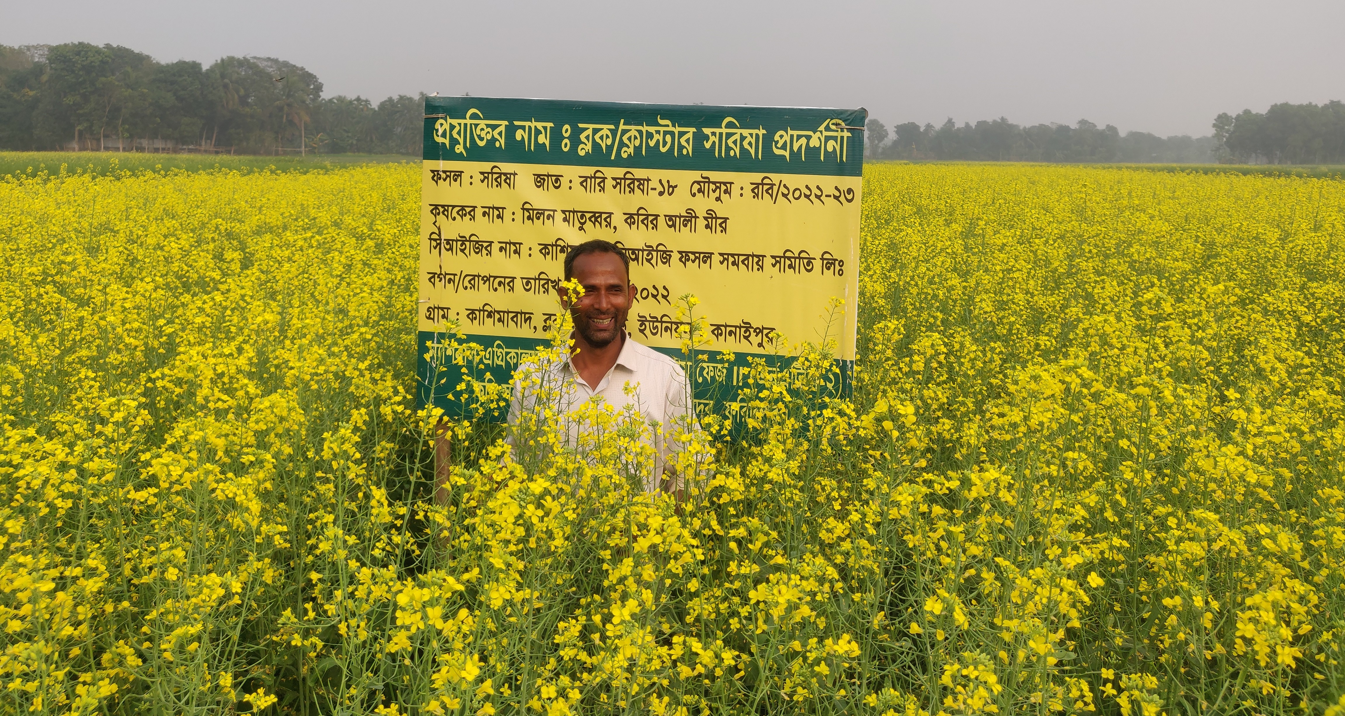 সরিষা প্রদর্শণী