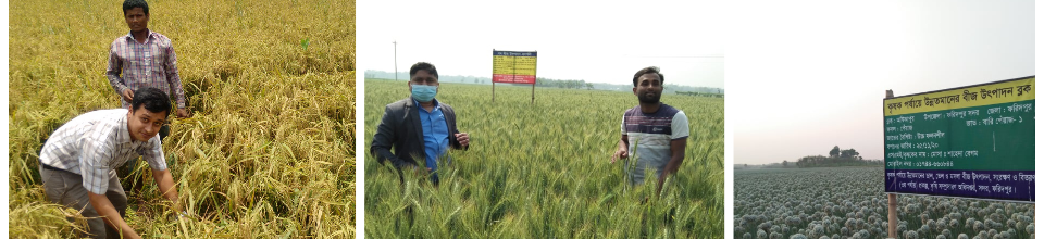 কৃষি অফিসের কার্ক্রম