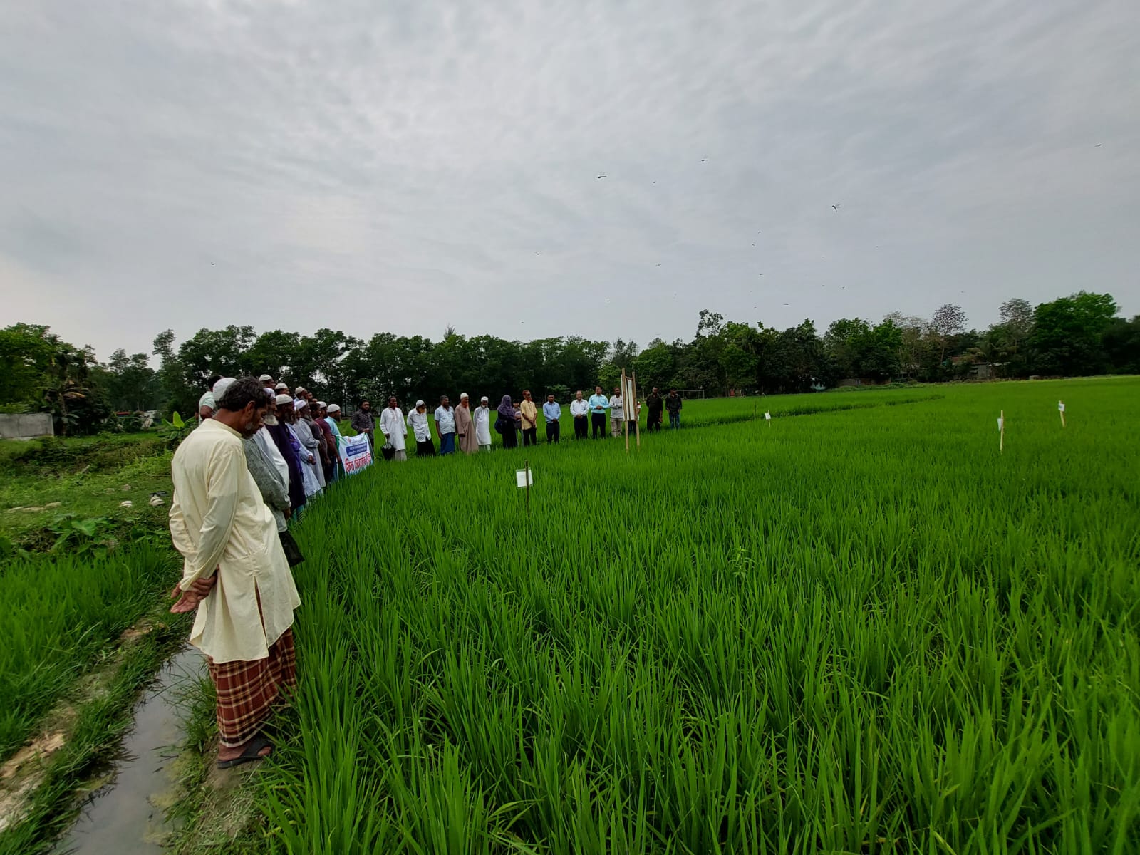 মাঠ পরিদর্শন।