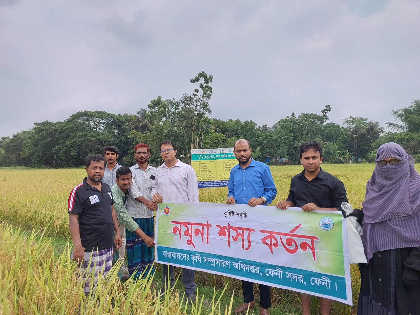 নমুনা শস্য কর্তন।