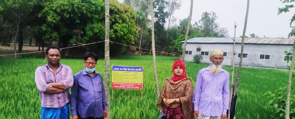 বোরো ধান বীজ উৎপাদন প্রদর্শনী