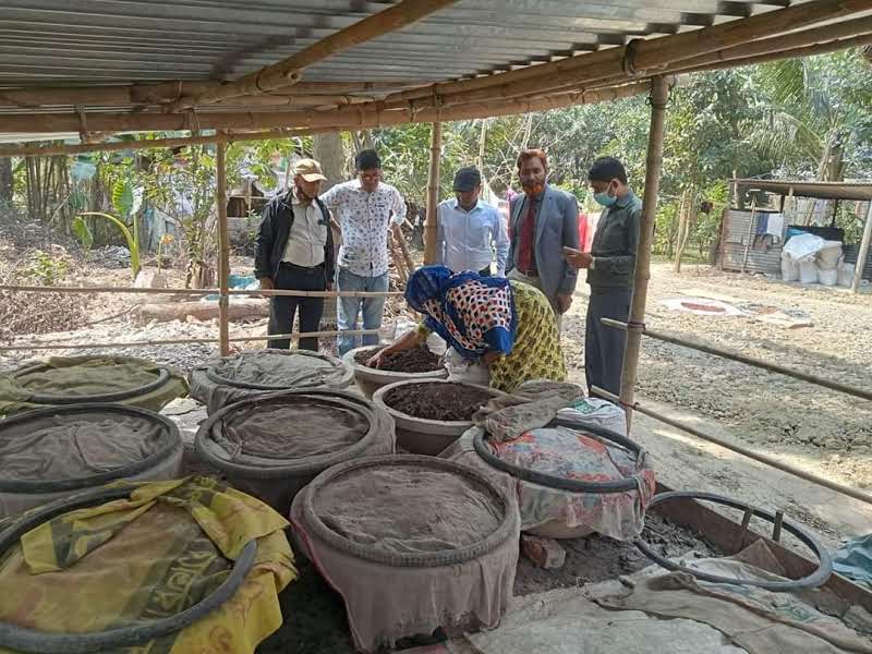 ভার্মি কম্পোস্ট প্লট পরিদর্শন