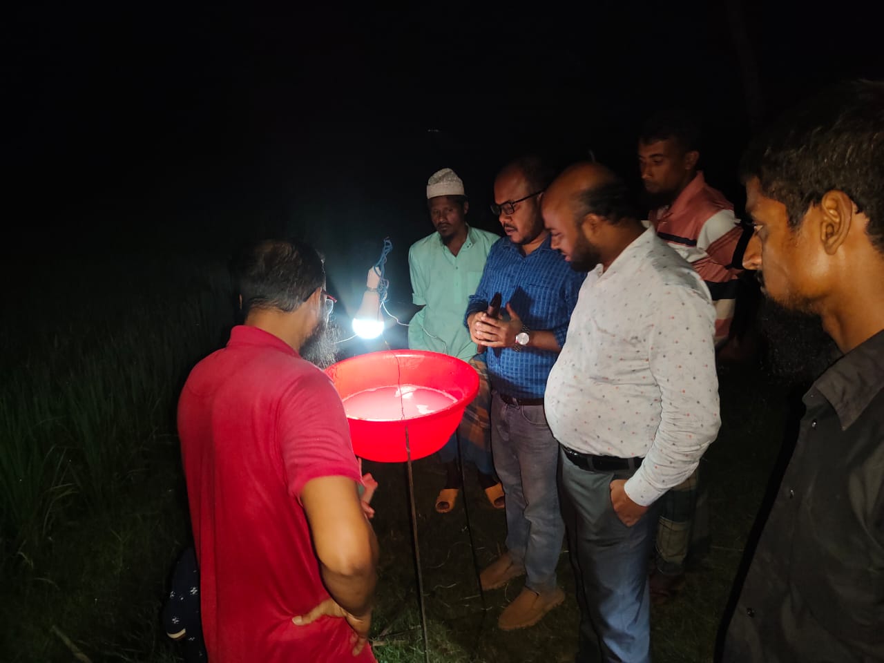 যশোর সদর উপজেলার নওয়াপাড়া ইউনিয়নে আলোক ফাঁদ স্থাপনের চিত্র