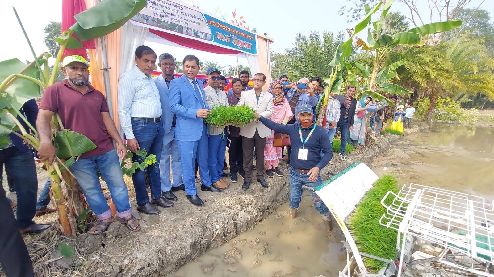 সমলেয়ে বোরো চাষ