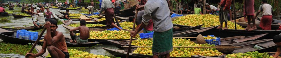 ঝালকাঠি ভাসমান পেয়ারা বাজার