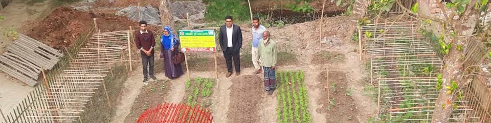 পারিবারিক পুষ্টি বাগান