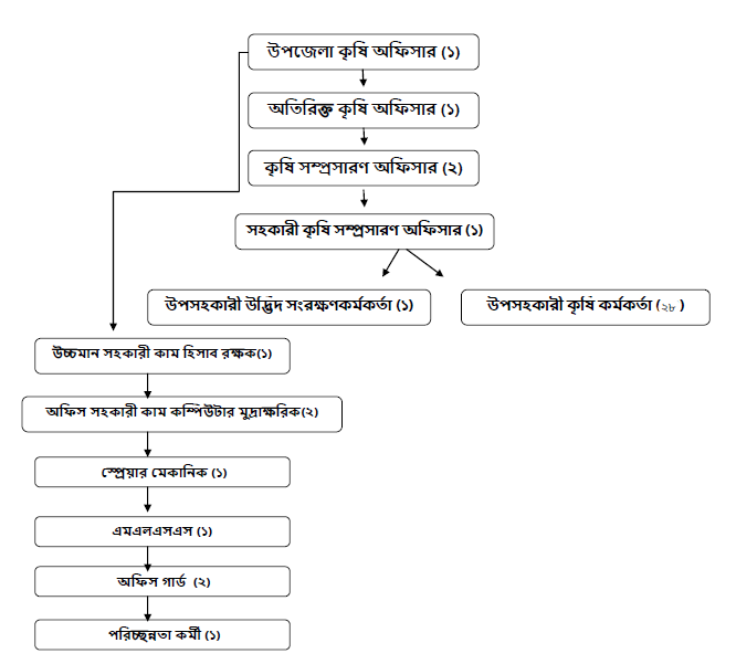 আমাদের বিষয়ে