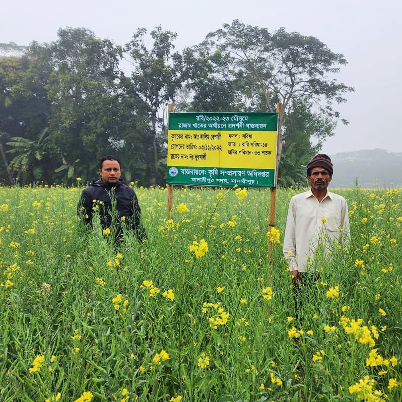 রাজস্ব সরিষা রবি/২২-২৩